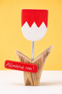 Frankentulpe „Allmächd naa!“  22,5 x 15 cm - 