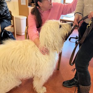 Besuch von Therapiehunden in der Tagesförderstätte