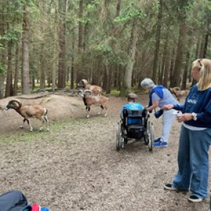 Ausflug in den Wildpark Hufeisen - Ein tierisches Erlebnis
